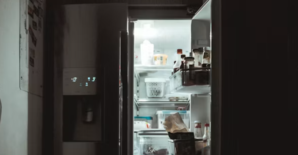 Blast Freezer, Solusi Pembekuan Cepat untuk Industri Modern